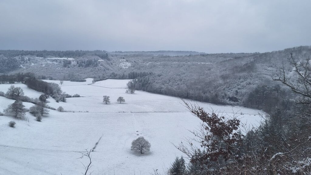 e00c19e0 eebf 47a3 8015 1e4ce4ea1b6a